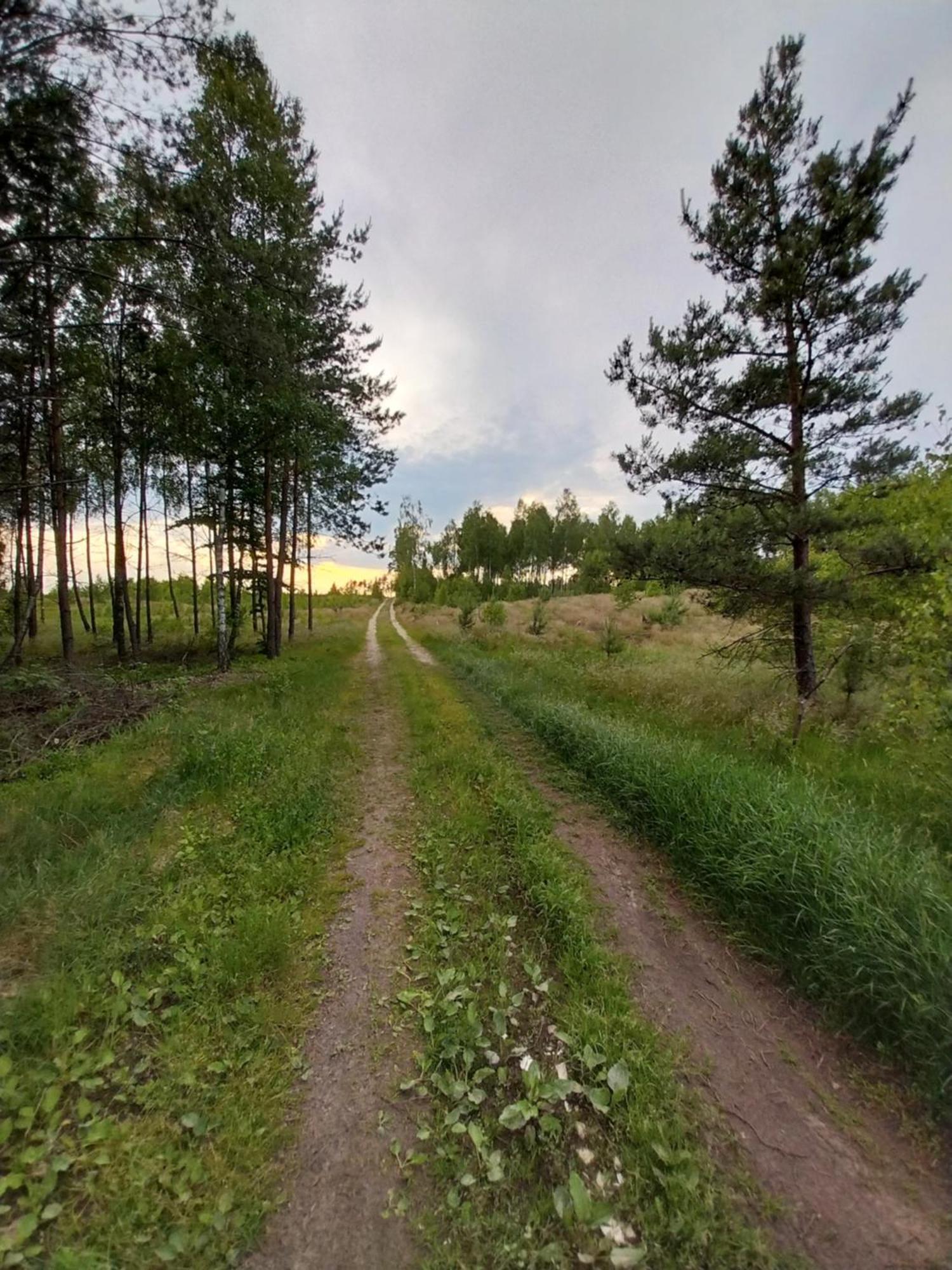 Wypoczynek Kocia Gora Villa Dziemiany Bagian luar foto