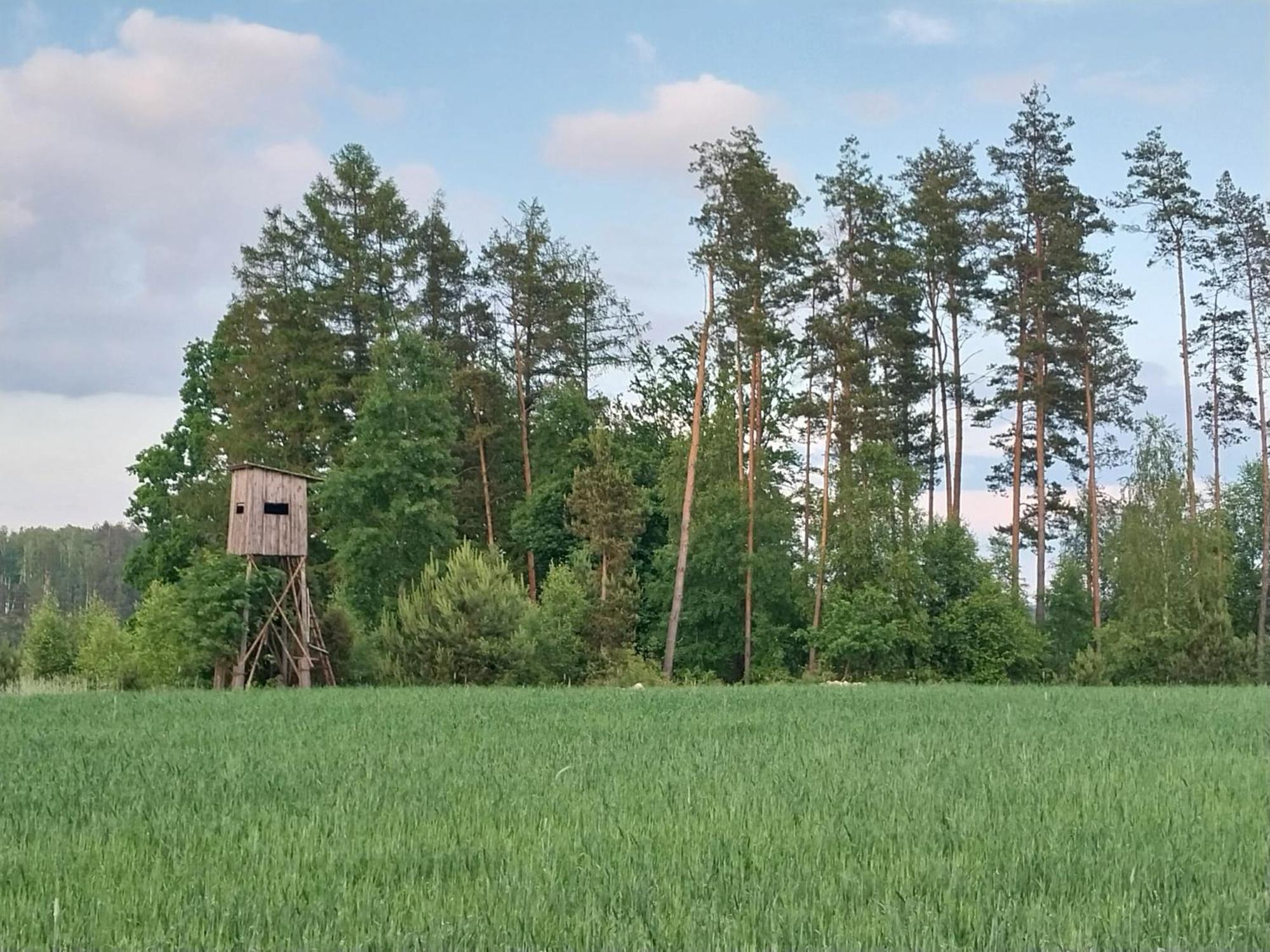 Wypoczynek Kocia Gora Villa Dziemiany Bagian luar foto