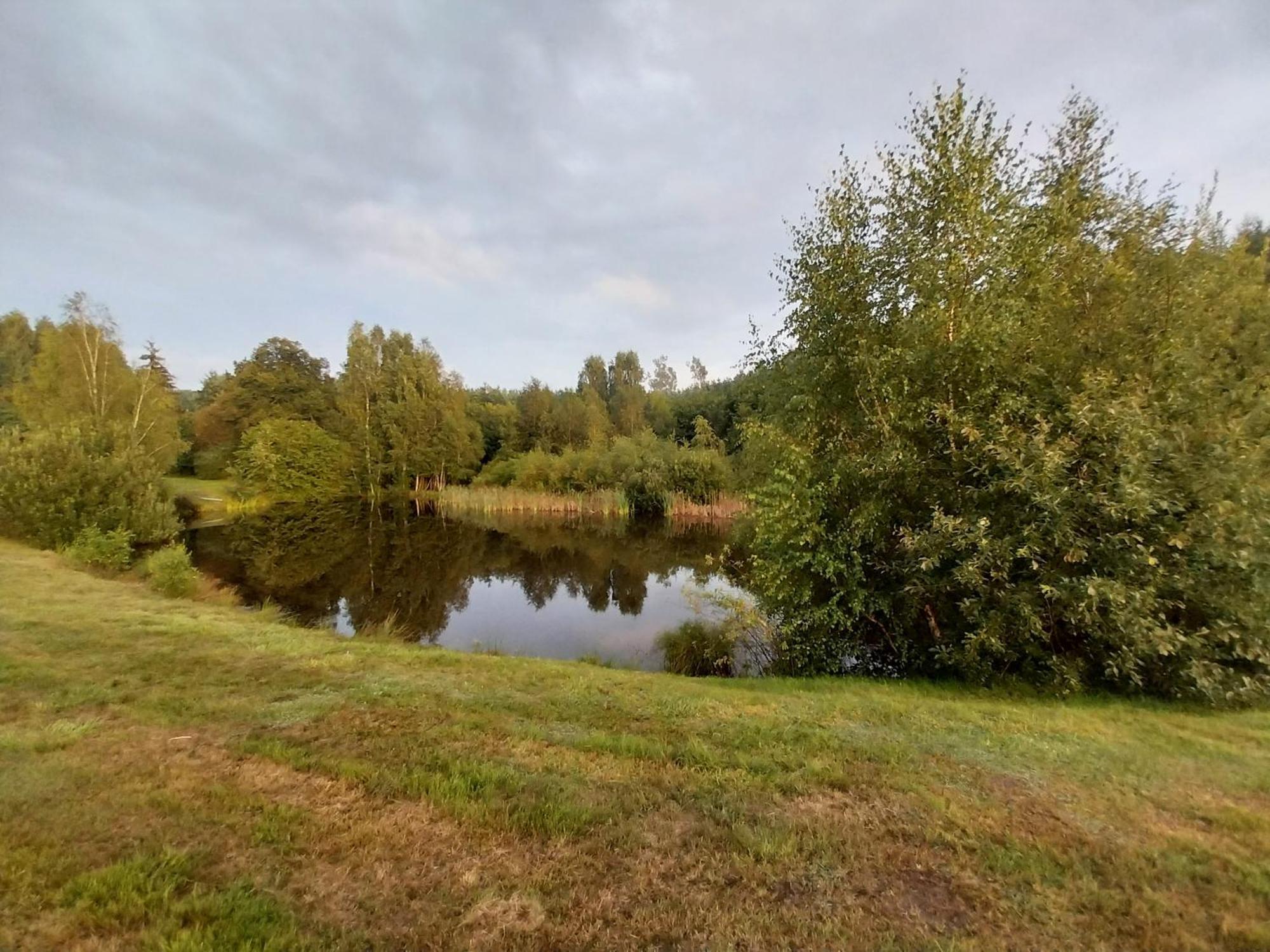 Wypoczynek Kocia Gora Villa Dziemiany Bagian luar foto