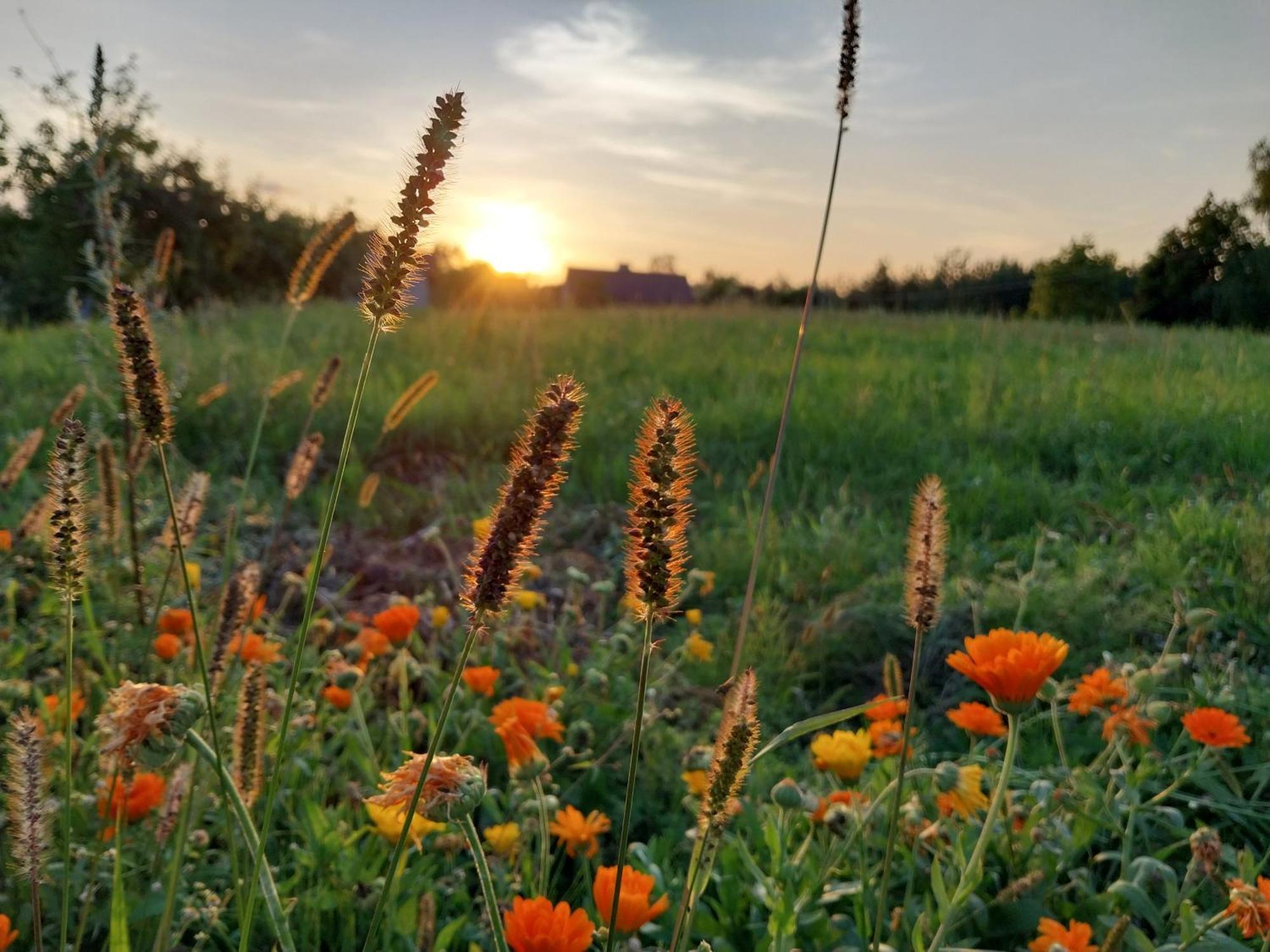 Wypoczynek Kocia Gora Villa Dziemiany Bagian luar foto