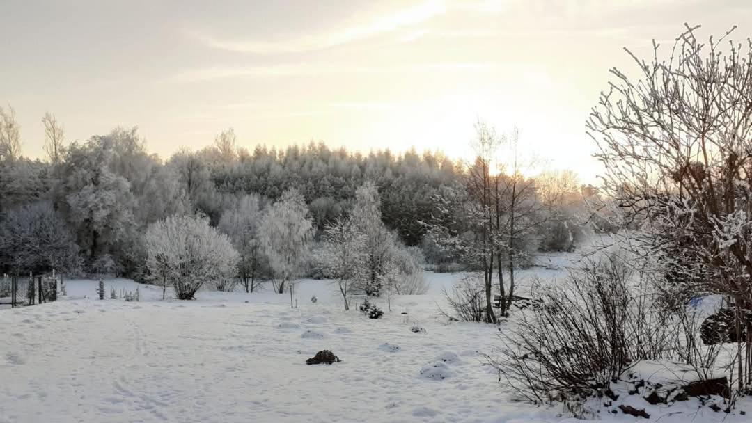 Wypoczynek Kocia Gora Villa Dziemiany Bagian luar foto