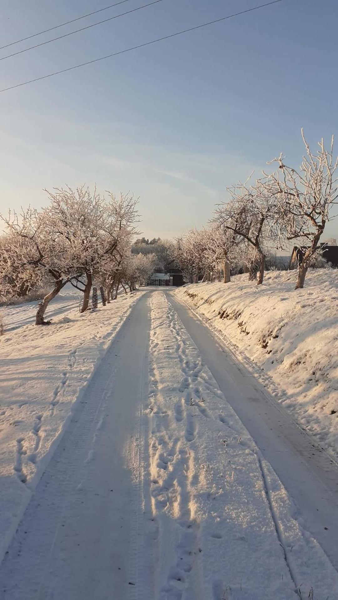 Wypoczynek Kocia Gora Villa Dziemiany Bagian luar foto
