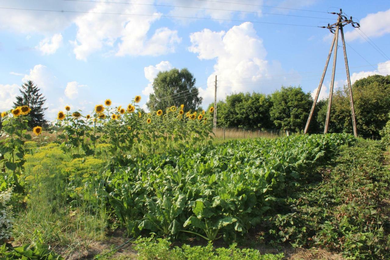 Wypoczynek Kocia Gora Villa Dziemiany Bagian luar foto